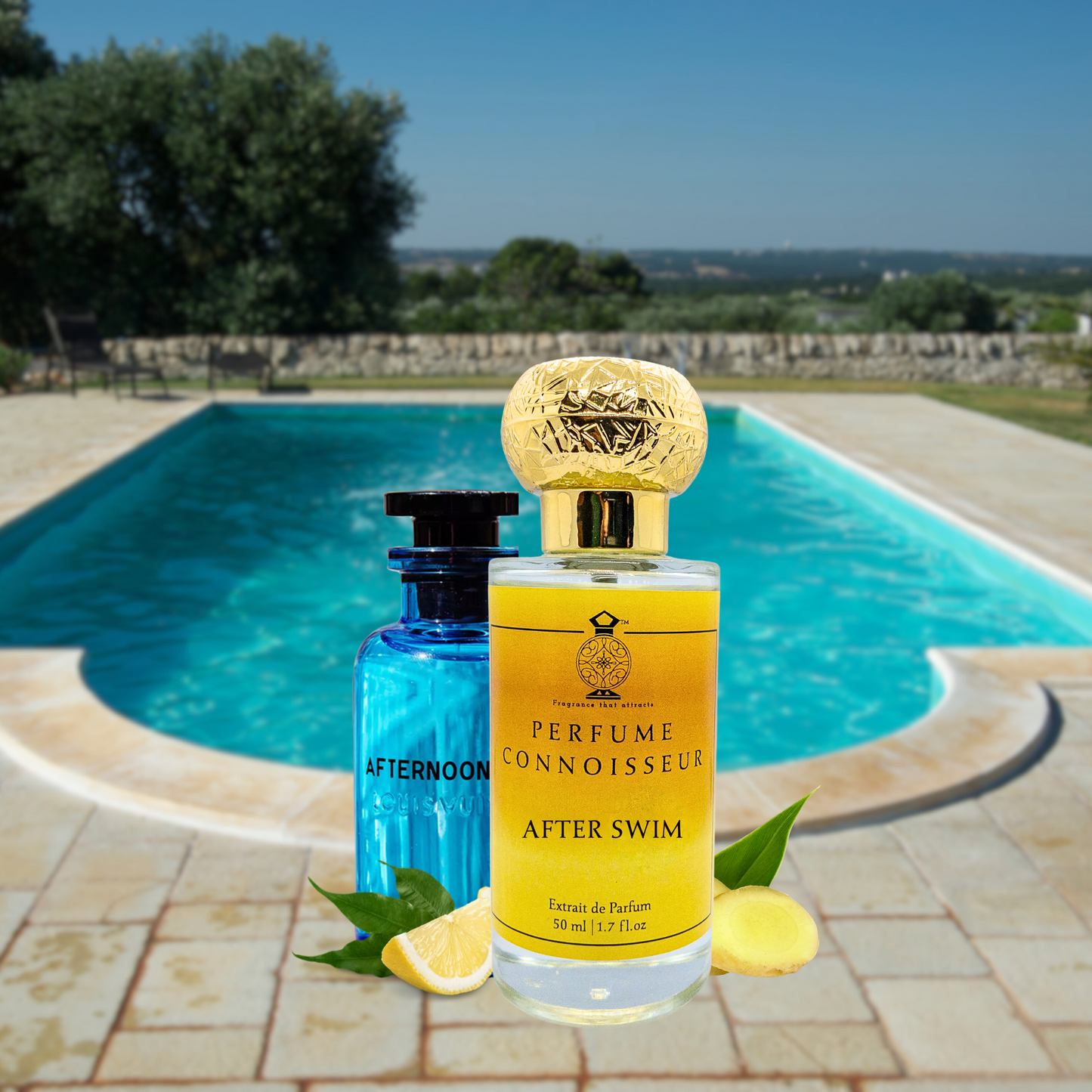 Louis Vuitton Afternoon Swim